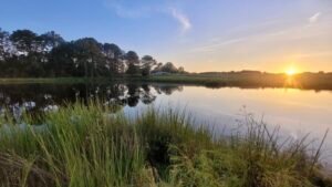 Sunrise over a marsh pond with tall grass and pines on rural Florida and Alabama land