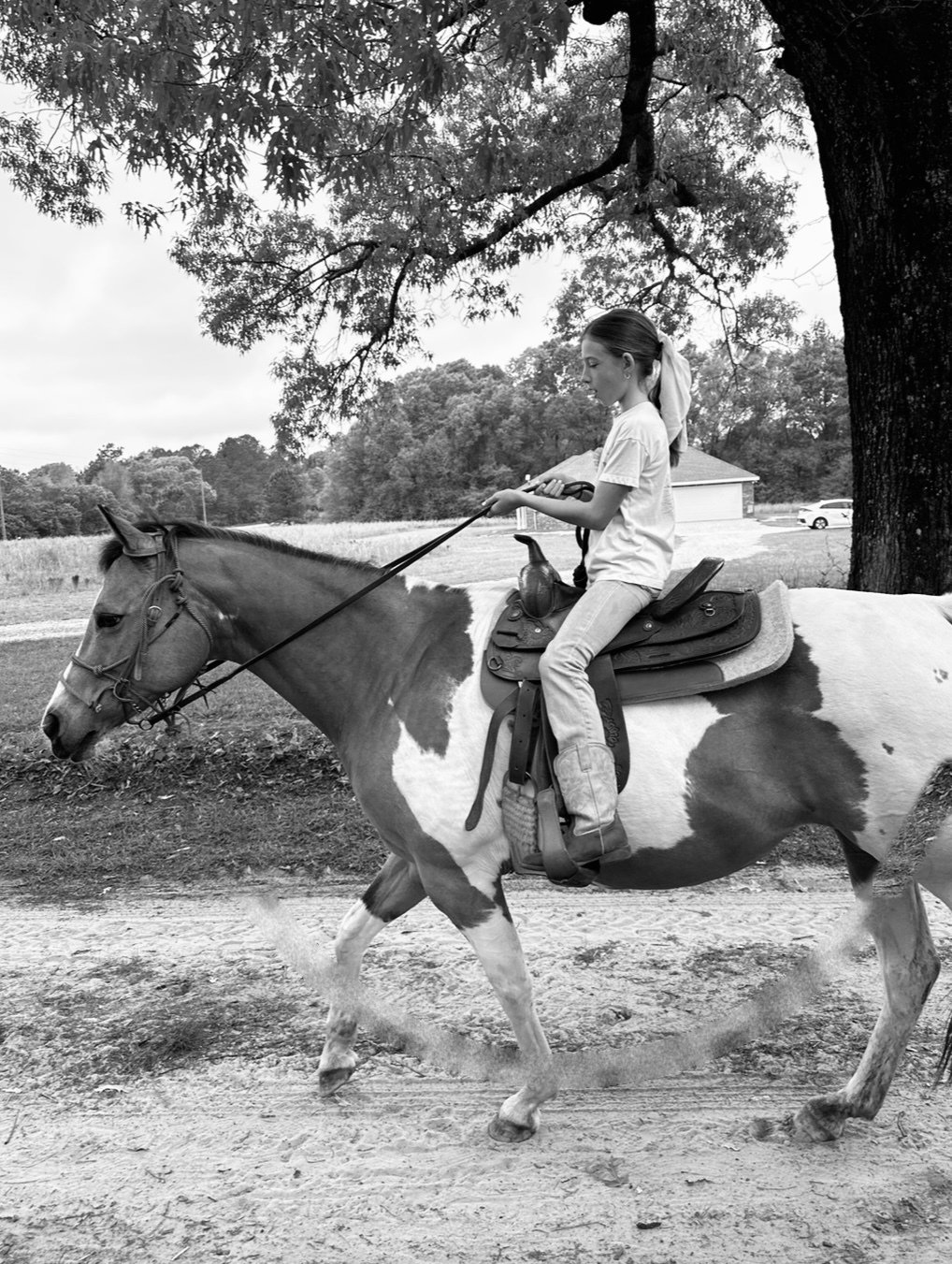 A child riding a paint horse along the fence line
